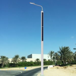 Wireless Solar Powered Public Pole Lighting
